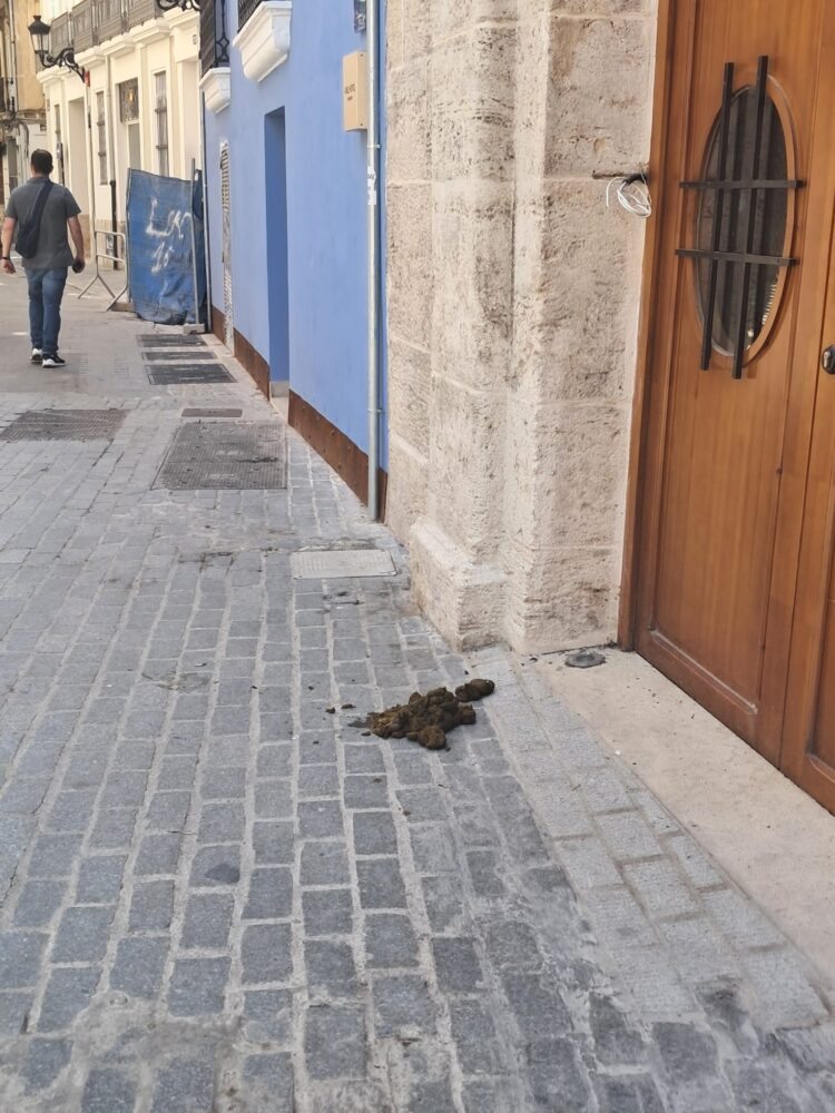 Traslado de las 3 Rocas del Corpus y el bestiario a la Plaza de la Mare de Deu entre gran expectación