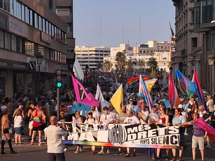 El fuerte calor no impidió a decenas de miles de personas reivindicar el Orgullo por las calles del Cap i Casal