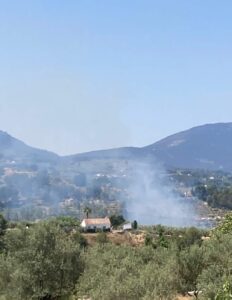3 medios aéreos luchan contra un incendio forestal declarado en Titaguas 2 WhatsApp Image 2025 06 29 at 11.53.28