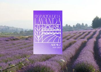 Ademuz invita a visitar en Julio la floración de la lavanda con actividades, visitas guiadas y mercado entre otros