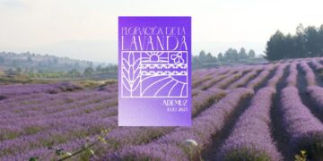 Ademuz invita a visitar en Julio la floración de la lavanda con actividades, visitas guiadas y mercado entre otros