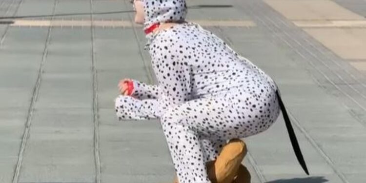 Polémica: la campaña de Benicassim para recoger las cacas de perro desata un huracán en redes