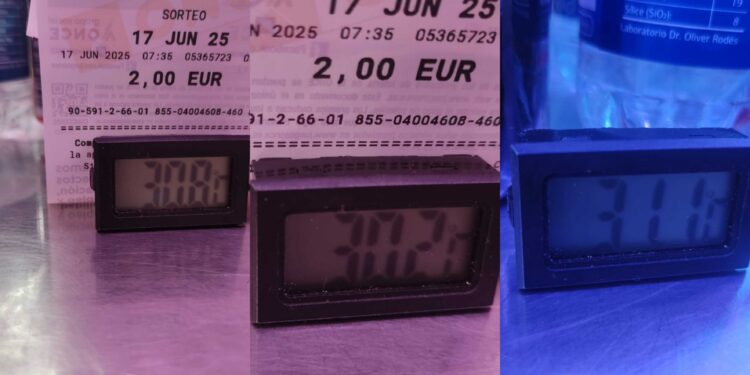 El Mercado Central se derrite ante la total indiferencia de Catalá