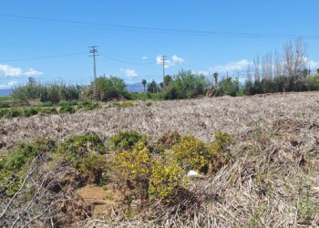 Ley de espacios verdes productivos