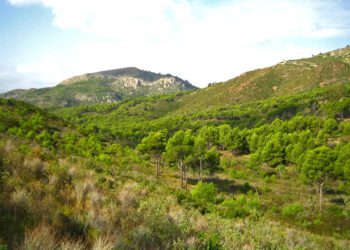 Declarado un incendio en el Desert de les Palmes a causa de un rayo