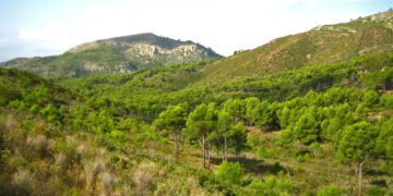 Declarado un incendio en el Desert de les Palmes a causa de un rayo