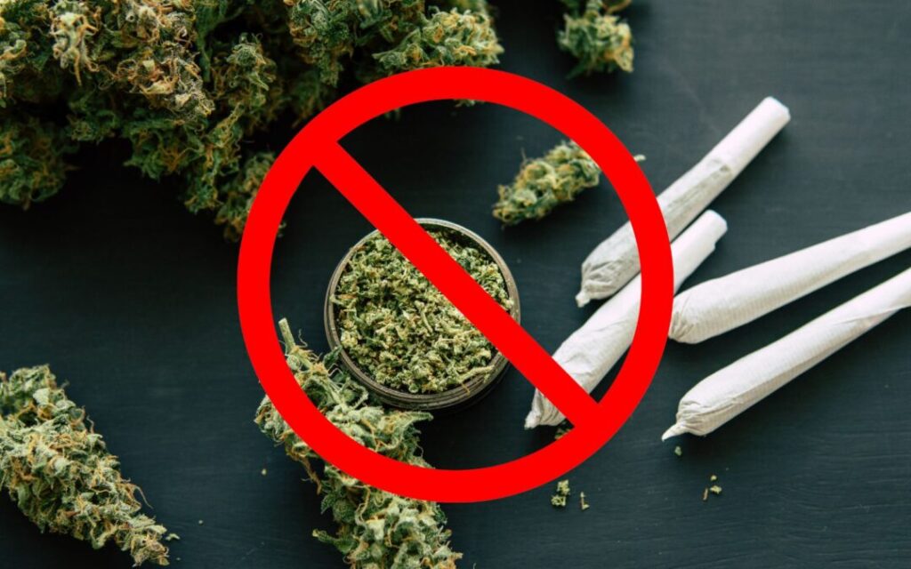 Golpe a las plantaciones de marihuana en Ribera Alta 3 droga 1749124990