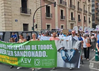 Veterinarios valencianos toman la calle contra un decreto que “ahoga” su profesión