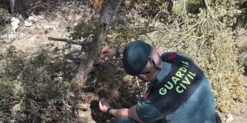 Lazos trampa en Requena: la Guardia Civil investiga un grave caso de maltrato animal