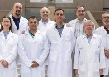 Un estudio revela cómo el síndrome metabólico altera el corazón y favorece arritmias cardiacas