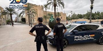 Detenida en Elche por robar 20.100 euros en efectivo a su expareja