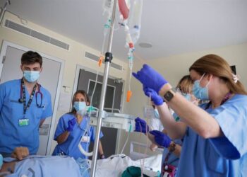 El Hospital La Fe lidera los trasplantes de médula ósea en España con más de 100 intervenciones en un año