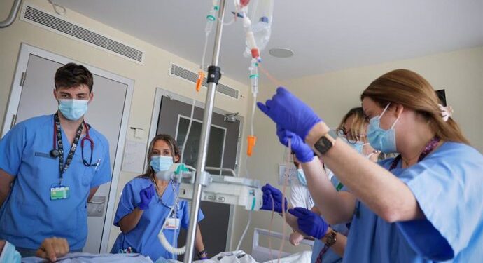 El Hospital La Fe lidera los trasplantes de médula ósea en España con más de 100 intervenciones en un año 1 El Hospital La Fe lidera los trasplantes de médula ósea en España con más de 100 intervenciones en un año