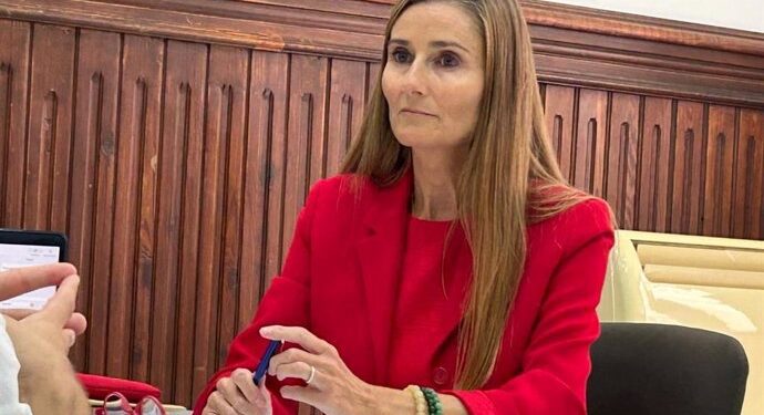 El juez ve indicios de delito de odio en los tuits de la concejala de Vox en Valencia, Cecilia Herrero 1 El juez ve indicios de delito de odio en los tuits de la concejala de Vox en Valencia, Cecilia Herrero