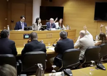 La comisión de investigación de la DANA en Les Corts inicia las comparecencias con los primeros expertos