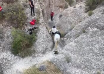 Rescatado un caballo atrapado en un barranco en Albatera