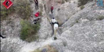 Rescatado un caballo atrapado en un barranco en Albatera