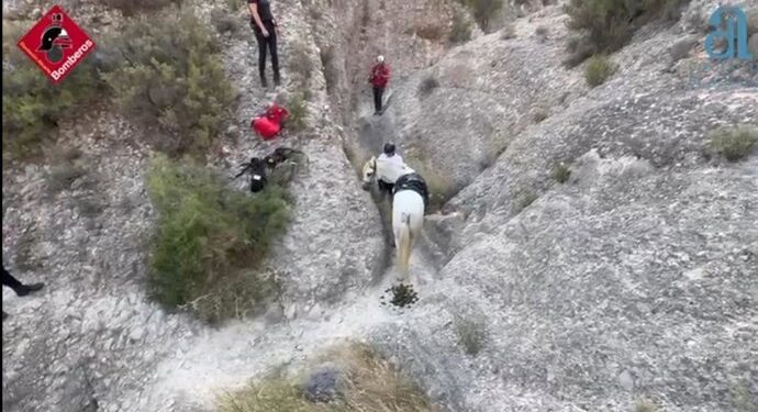 Rescatado un caballo atrapado en un barranco en Albatera 1 Rescatado un caballo atrapado en un barranco en Albatera
