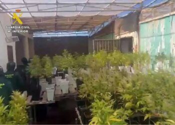 guardia civil incauta 1749125034