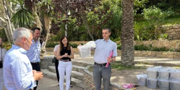 Elche libera mosquitos tigre estériles para combatir su proliferaciónLiberarán mosquitos estériles para controlar el mosquito tigre