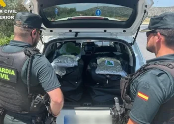Interceptado en la AP-7 con 57 kilos de marihuana envasada al vacío: nueva operación antidroga en la Comunitat Valenciana