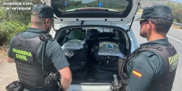 Interceptado en la AP-7 con 57 kilos de marihuana envasada al vacío: nueva operación antidroga en la Comunitat Valenciana