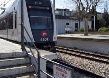 Minutos después de reactivarse la circulación de Metrovalencia, otro árbol cae en la zona de Entrepins volviendo a cortar la línea