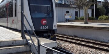 Minutos después de reactivarse la circulación de Metrovalencia, otro árbol cae en la zona de Entrepins volviendo a cortar la línea