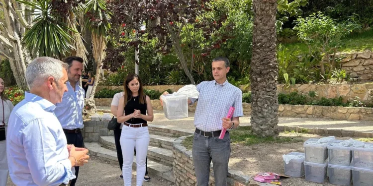 La Comunidad Valenciana liberará 28 millones de mosquitos tigre estériles para frenar la plaga