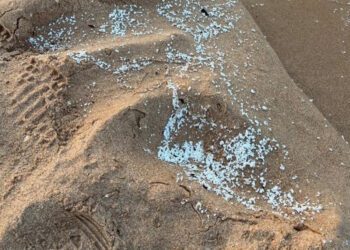 Alerta en las playas del sur de Valencia por un vertido: cerradas Daimús, Miramar, Bellreguard, Piles y Guardamar