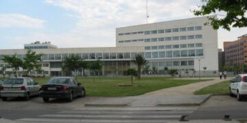 La UPV, universidad española con mayor impacto social y económico del mundo según el ranking THE 2025