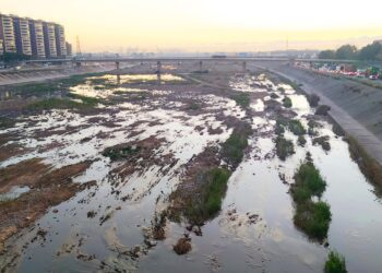 Valencia pedirá a la CHJ permiso para iniciar la limpieza del cauce del Turia el próximo martes