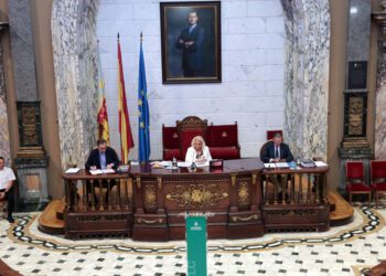 Limpieza y recogida de residuos: medidas de refuerzo y control