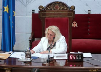 Limpieza y recogida de residuos: medidas de refuerzo y control