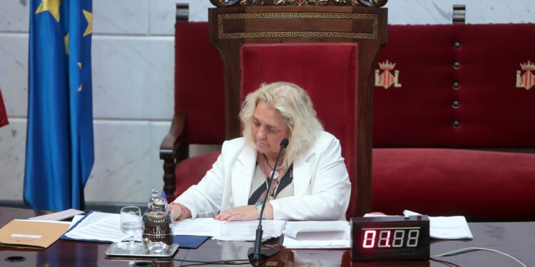 Valencia aprueba habilitar fanzones junto a recintos deportivos y un nuevo plan contra la contaminación acústica 1 Limpieza y recogida de residuos: medidas de refuerzo y control