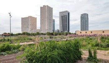 Valencia compra 134 viviendas en Sociopolis para frenar la especulación y destinarlas a alquiler asequible