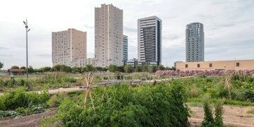 Valencia compra 134 viviendas en Sociopolis para frenar la especulación y destinarlas a alquiler asequible