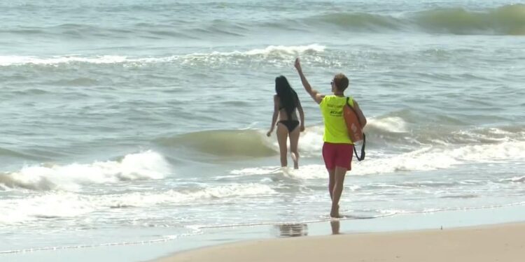 Reabren al baño la playa de Motilla en Sueca tras confirmar que el agua es apta