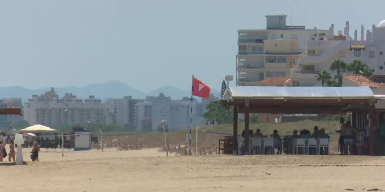 Cerradas varias playas de la Comunitat Valenciana por contaminación del agua: Daimús, Xeraco, Tavernes y Orihuela, en alerta 1 Cerradas varias playas de la Comunitat Valenciana por contaminación del agua: Daimús, Xeraco, Tavernes y Orihuela, en alerta