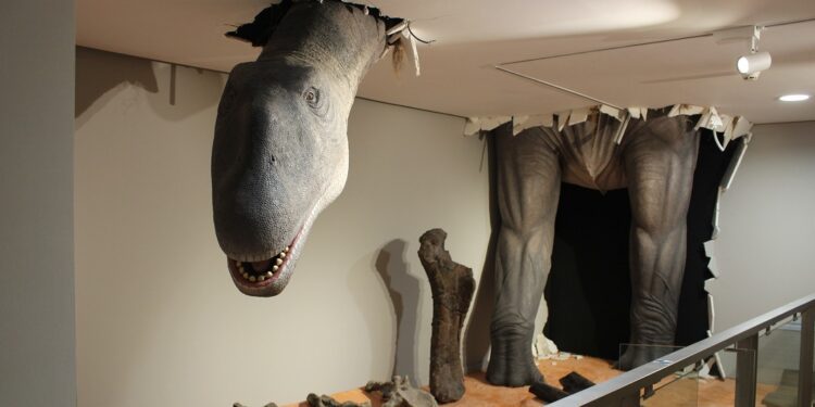 El Paleontològic reabre con tecnología, audiovisuales y realidad aumentada para emocionar a sus visitantes 1 El Paleontològic reabre con tecnología, audiovisuales y realidad aumentada para emocionar a sus visitantes