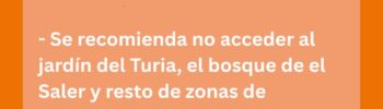 Valencia suspende preselecciones falleras, conciertos y todos los actos al aire libre hoy. Desaloja las playas