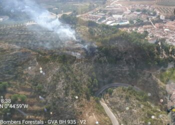 Declarado un incendio forestal en Moixent
