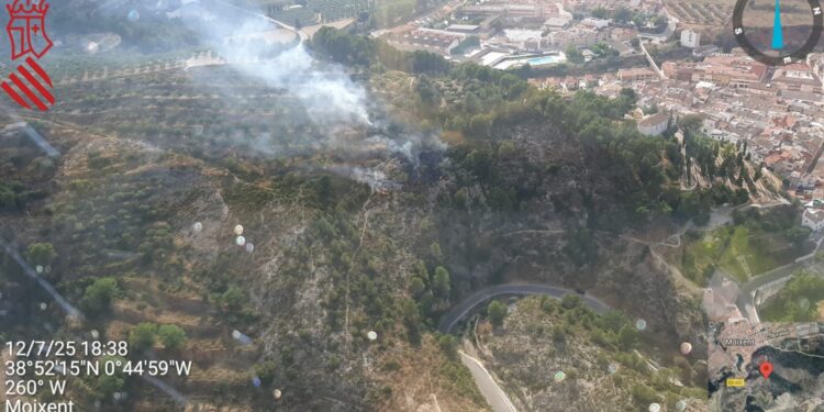 Declarado un incendio forestal en Moixent