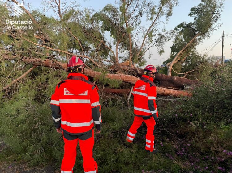 Un reguero de daños en Castelló por las fuertes tormentas de ayer