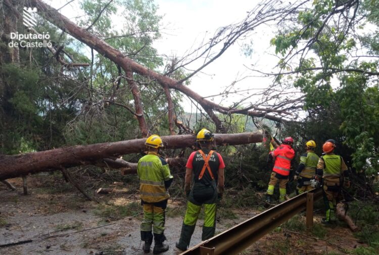 Un reguero de daños en Castelló por las fuertes tormentas de ayer
