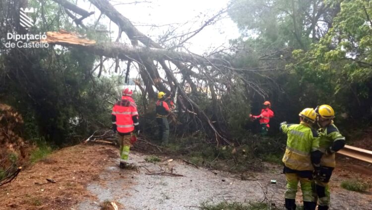 Un reguero de daños en Castelló por las fuertes tormentas de ayer