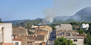 Localizado un incendio en una cuneta de la autovía en Albalat dels Tarongers