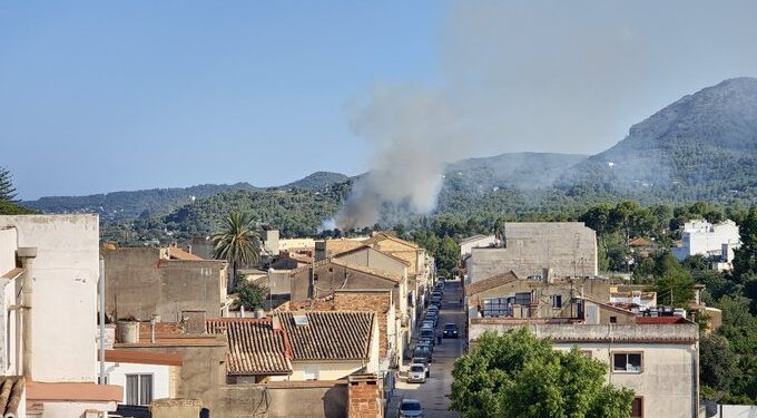 Localizado un incendio en una cuneta de la autovía en Albalat dels Tarongers 1 Localizado un incendio en una cuneta de la autovía en Albalat dels Tarongers
