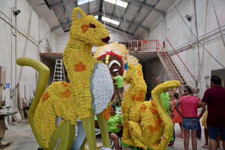 Todo preparado para la Batalla más colorida y olorosa, la Batalla de Flors de Valéncia