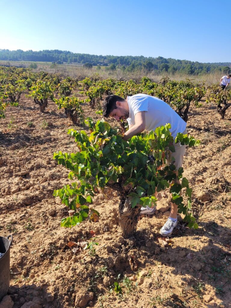 “Comedias 12”: El vino creado por los jóvenes del Casino de Agricultura en homenaje a su historia 2 Imagen de WhatsApp 2025 07 15 a las 12.46.30 0ee4ca54